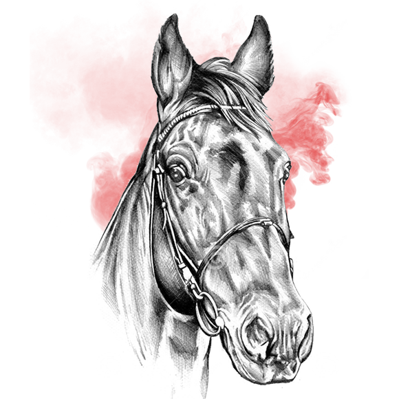 Passione Ricerca Innovazione