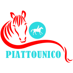 piattounico