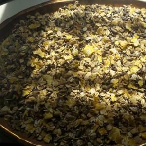 horsedoro5.png_product