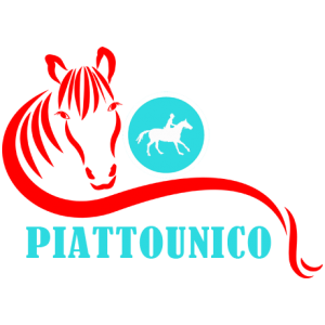 piattounico.png